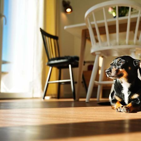 Ferienhaus Zur Oie Bresewitz Ngoại thất bức ảnh