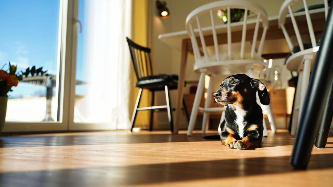 Ferienhaus Zur Oie Bresewitz Ngoại thất bức ảnh